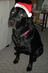 She'd put up with almost anything