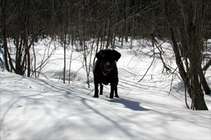 Her last time up at the cottage